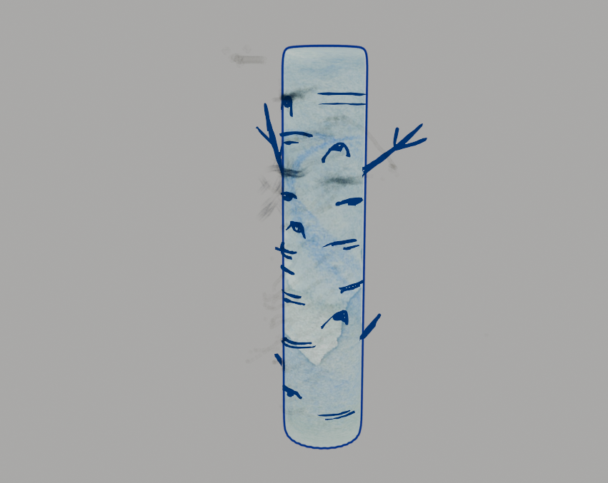 Capture%20d%E2%80%99%C3%A9cran%202024-12-11%20105230